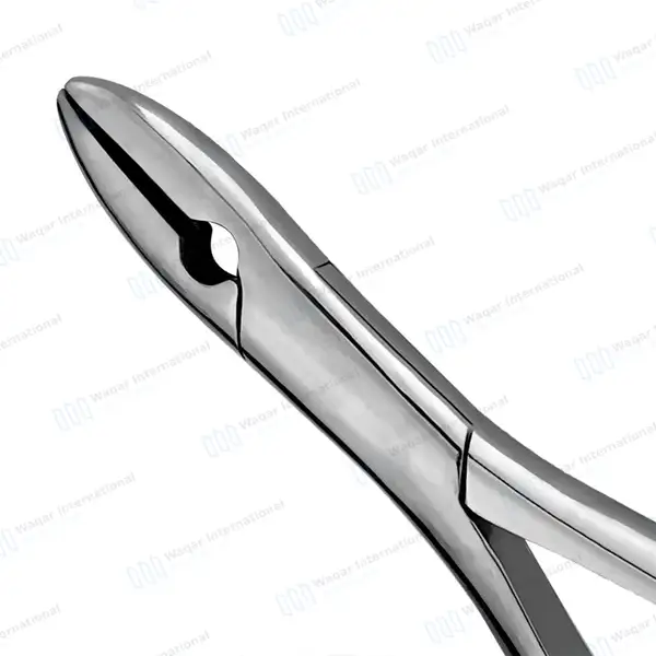 TC Extracting Forceps #1STD Upper Incisors and Cuspids - dental instruments manufactured by Waqar International, Sialkot - view 4