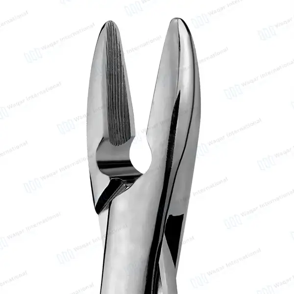 Dental Extracting Forceps #1STD Gold Hollow Python Grip Handle - dental instruments manufactured by Waqar International, Sialkot - view 3