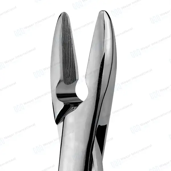 Extracting Forceps #1 with Gold Hollow Python Grip Handle - dental instruments manufactured by Waqar International, Sialkot - view 3