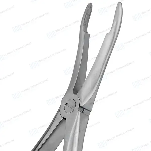 3 Pcs T/C Root Tip Extraction Forceps #845 #849 #859 Diamond Dusted Gold Handle - surgical instruments manufactured by Waqar International, Sialkot - view 2