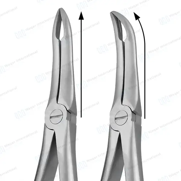 3 Pcs T/C Root Tip Extraction Forceps #845 #849 #859 Diamond Dusted Gold Handle - surgical instruments manufactured by Waqar International, Sialkot - view 6