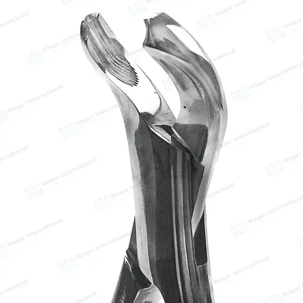 T/C Dental Extracting Forceps #17 Lower Molars - dental instruments manufactured by Waqar International, Sialkot - view 4