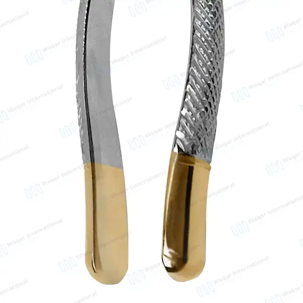 T/C Dental Extracting Forceps #17 Lower Molars - dental instruments manufactured by Waqar International, Sialkot - view 5