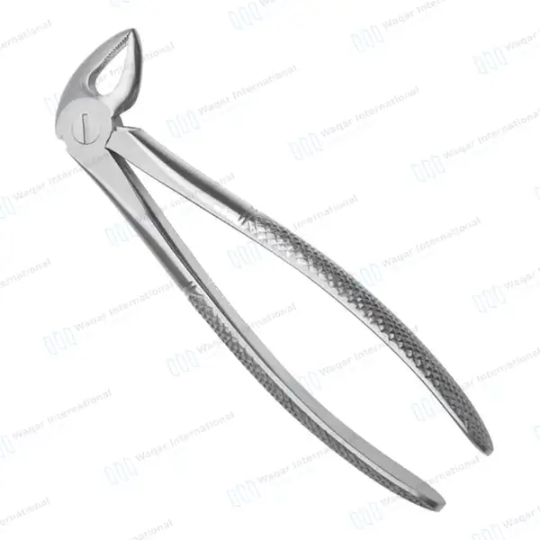English Pattern Extraction Forceps #33 Lower Roots Serrated - surgical instruments manufactured by Waqar International, Sialkot - view 2