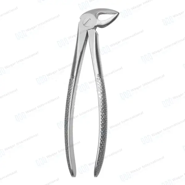 English Pattern Extraction Forceps #33 Lower Roots Serrated - surgical instruments manufactured by Waqar International, Sialkot - view 3