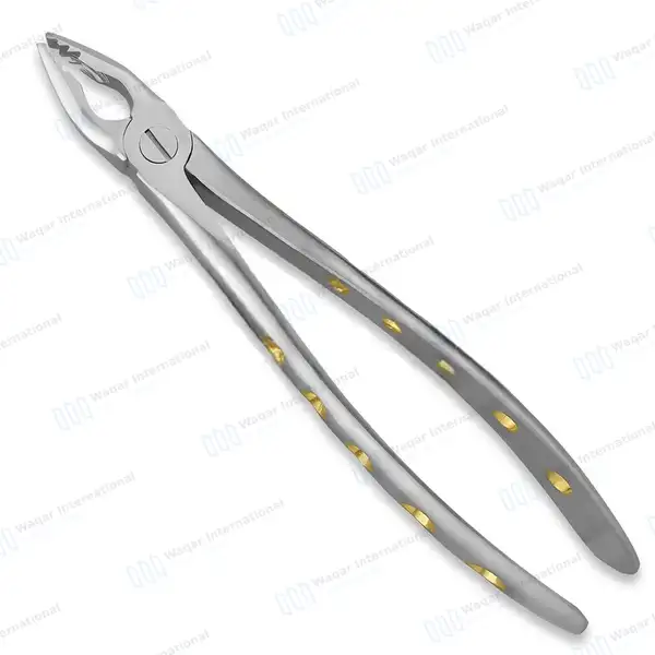 ROBA Extracting Forceps #34M Upper Incisors and Cuspids Serrated Jaws - surgical instruments manufactured by Waqar International, Sialkot - view 2