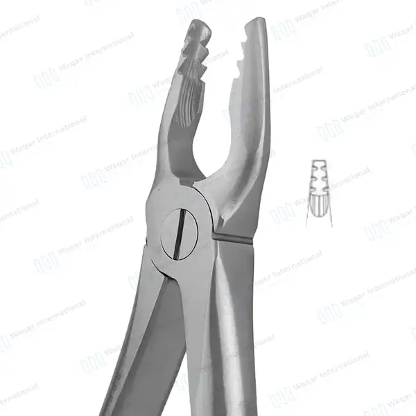 ROBA Extracting Forceps #34N Upper Incisors and Eye Teeth - surgical instruments manufactured by Waqar International, Sialkot - view 2