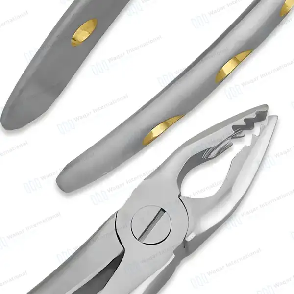 ROBA Extracting Forceps #34N Upper Incisors and Eye Teeth - surgical instruments manufactured by Waqar International, Sialkot - view 5