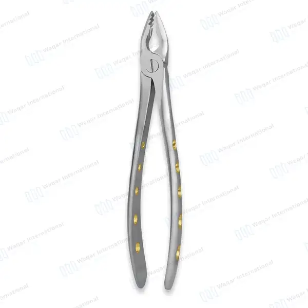 ROBA Extracting Forceps #34N Upper Incisors and Eye Teeth - surgical instruments manufactured by Waqar International, Sialkot - view 8