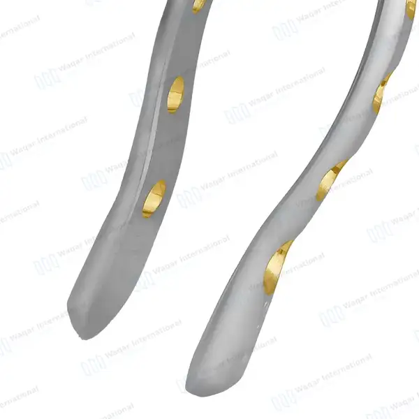 Dental Extracting Forceps #53L with Gold Hollow Python Grip Handle - dental instruments manufactured by Waqar International, Sialkot - view 2