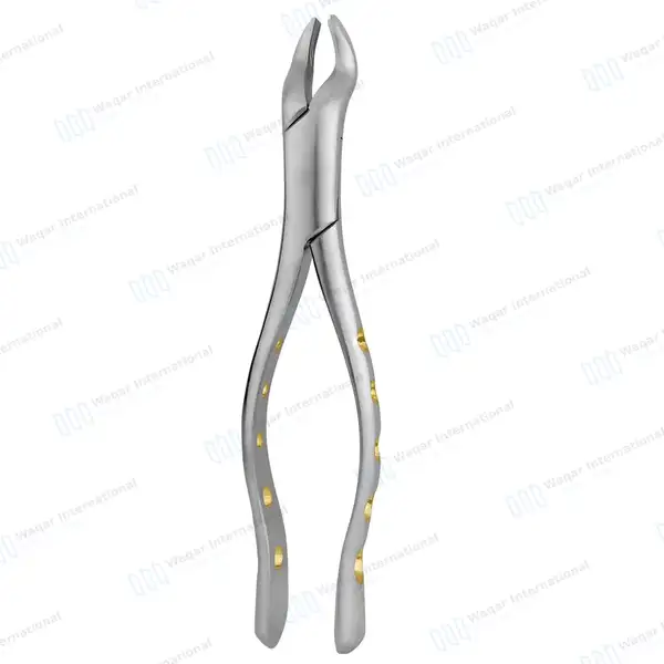 Dental Extracting Forceps #53L with Gold Hollow Python Grip Handle - dental instruments manufactured by Waqar International, Sialkot - view 3