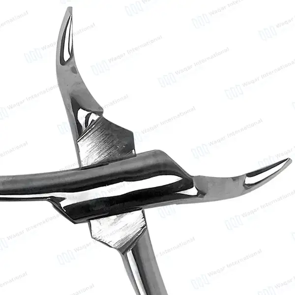 T/C Extracting Forceps #53R for Upper 1st & 2nd Right Molars - dental instruments manufactured by Waqar International, Sialkot - view 3