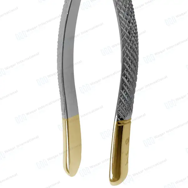 T/C Extracting Forceps #53R for Upper 1st & 2nd Right Molars - dental instruments manufactured by Waqar International, Sialkot - view 6