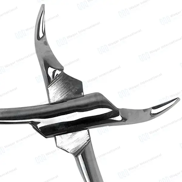 2 T/C Extracting Forceps Set #53L & #53R Upper Left & Right Molars - dental instruments manufactured by Waqar International, Sialkot - view 4
