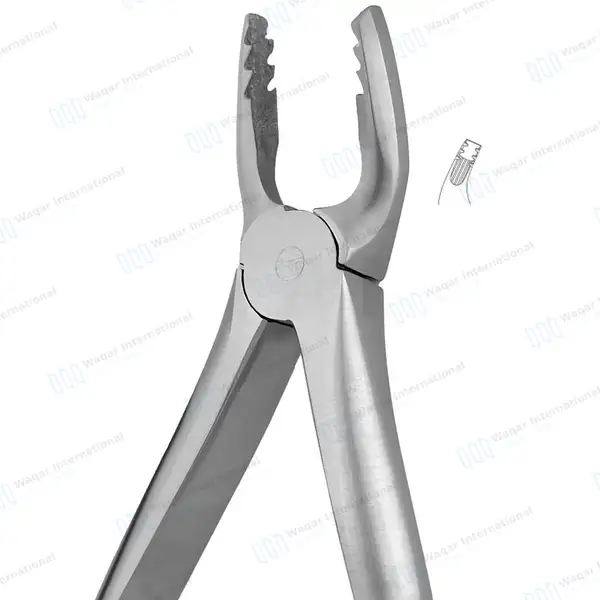 ROBA Extracting Forceps #35M Upper Premolars - surgical instruments manufactured by Waqar International, Sialkot - view 2