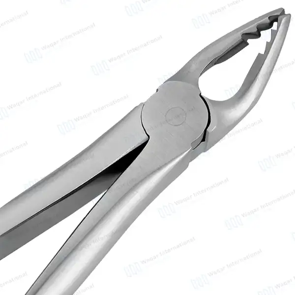 ROBA Extracting Forceps #35M Upper Premolars - surgical instruments manufactured by Waqar International, Sialkot - view 3