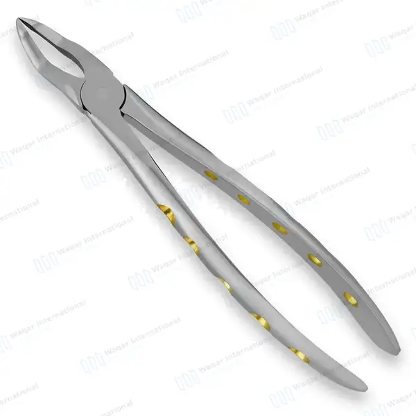 English Pattern Dental Extracting Forceps #51Z Upper Roots - surgical instruments manufactured by Waqar International, Sialkot - view 2