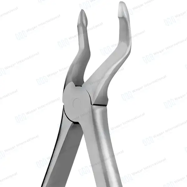 English Pattern Dental Extracting Forceps #51Z Upper Roots - surgical instruments manufactured by Waqar International, Sialkot - view 3