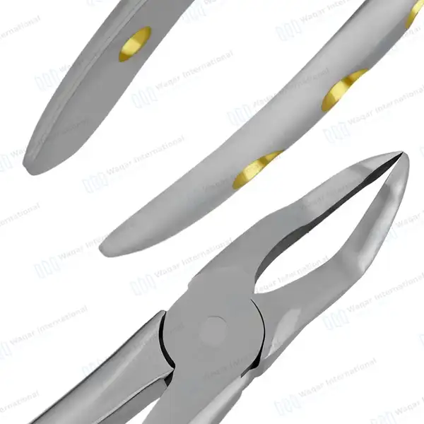 English Pattern Dental Extracting Forceps #51Z Upper Roots - surgical instruments manufactured by Waqar International, Sialkot - view 7