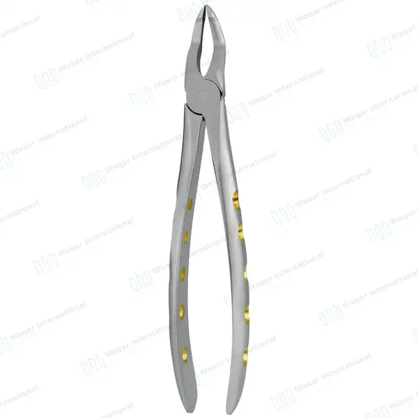 English Pattern Dental Extracting Forceps #51Z Upper Roots - surgical instruments manufactured by Waqar International, Sialkot - view 8