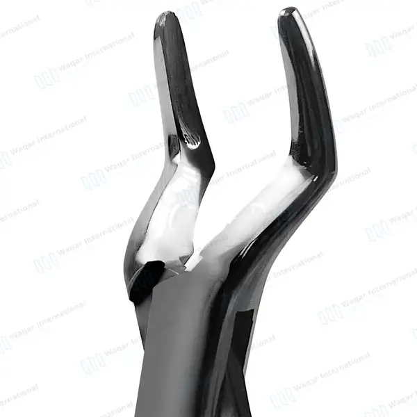 T/C Extracting Forceps #65 Upper Roots, Fragments & Incisors - dental instruments manufactured by Waqar International, Sialkot - view 2