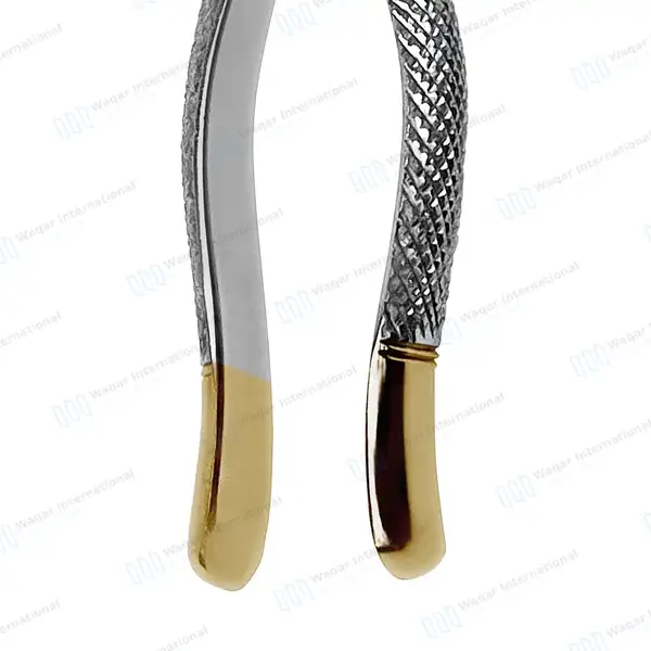 T/C Extracting Forceps #65 Upper Roots, Fragments & Incisors - dental instruments manufactured by Waqar International, Sialkot - view 3