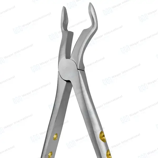 English Extracting Forceps #67A for Upper Third Molars - surgical instruments manufactured by Waqar International, Sialkot - view 2