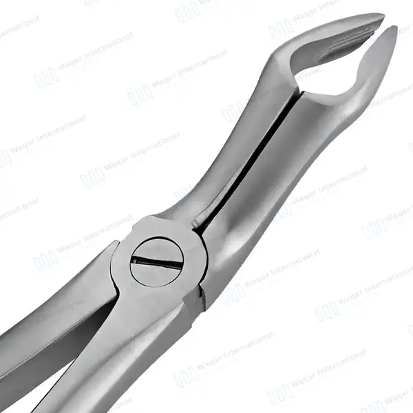 English Extracting Forceps #67A for Upper Third Molars - surgical instruments manufactured by Waqar International, Sialkot - view 3