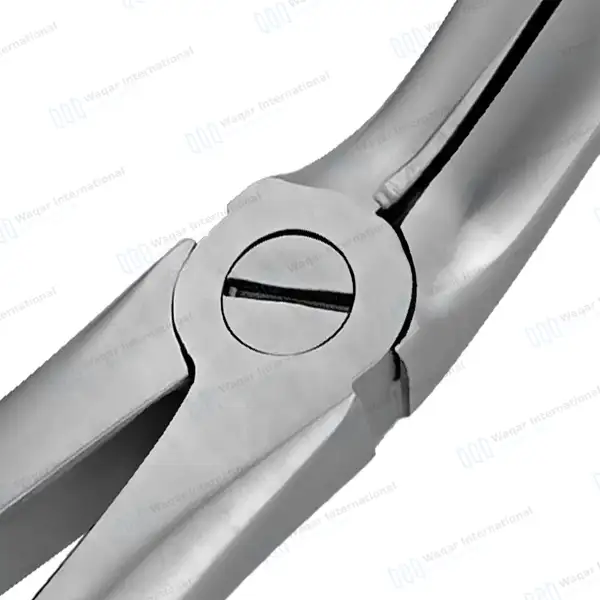 English Extracting Forceps #67A for Upper Third Molars - surgical instruments manufactured by Waqar International, Sialkot - view 4
