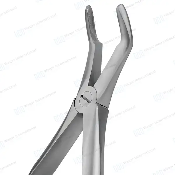 4 Pcs T/C Root Tip Extracting Forceps #845 #846 #849 #859 Diamond Dusted Gold Handle - surgical instruments manufactured by Waqar International, Sialkot - view 4