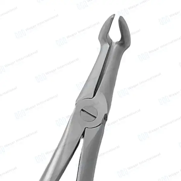 4 Pcs T/C Root Tip Extracting Forceps #845 #846 #849 #859 Diamond Dusted Gold Handle - surgical instruments manufactured by Waqar International, Sialkot - view 5