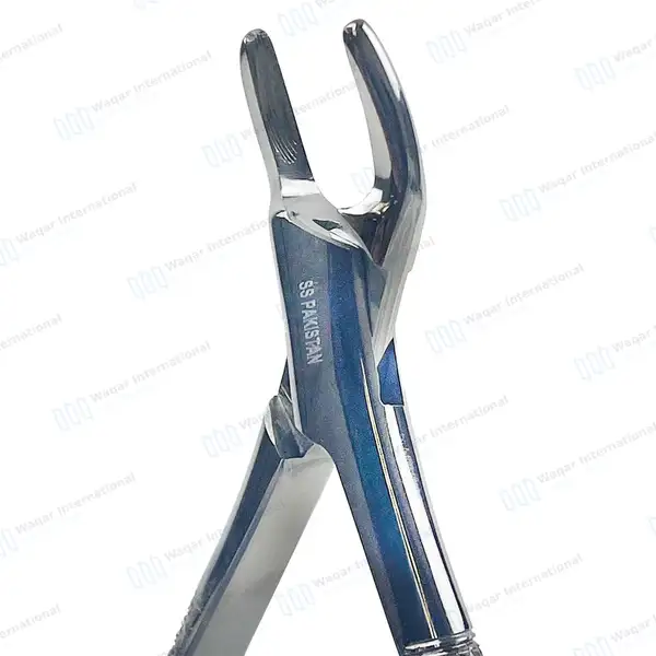 2 Dental Extraction Forceps #150S & #151S - surgical instruments manufactured by Waqar International, Sialkot - view 2