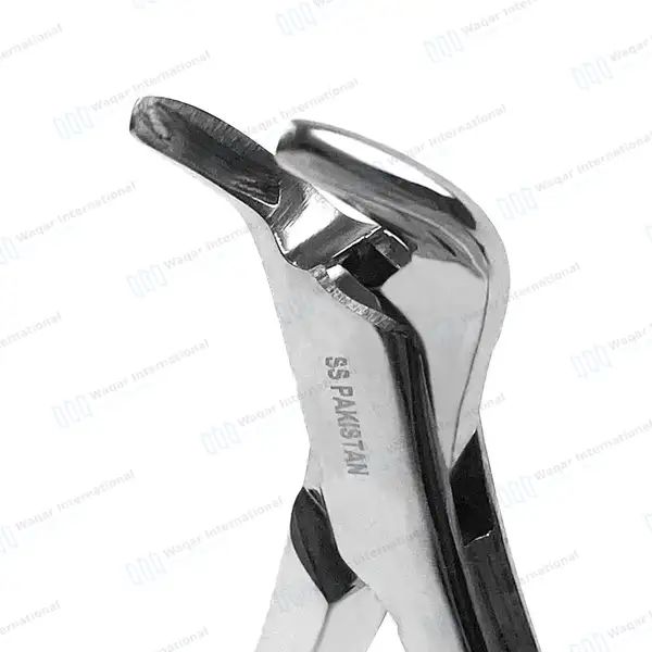 2 Dental Extraction Forceps #150S & #151S - surgical instruments manufactured by Waqar International, Sialkot - view 3