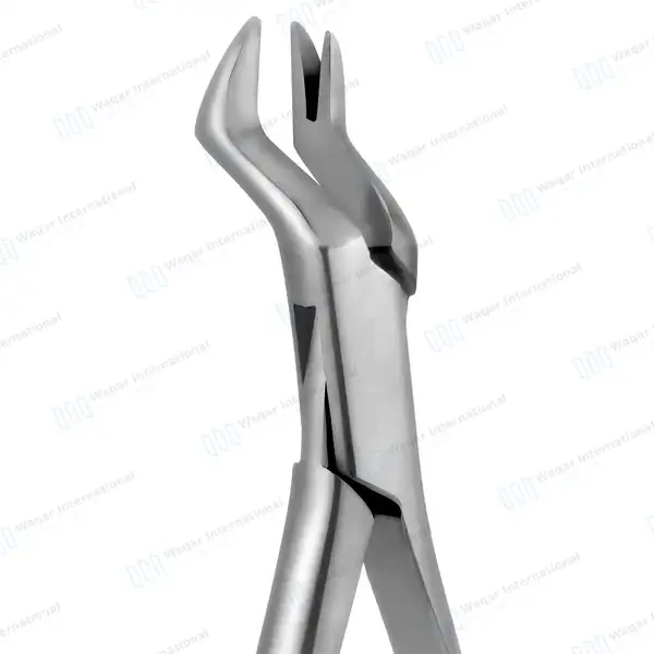 Extracting Forceps #88R 1st & 2nd Upper Molar with Gold Python Grip - dental instruments manufactured by Waqar International, Sialkot - view 3
