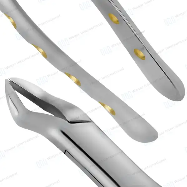 Extracting Forceps #88R 1st & 2nd Upper Molar with Gold Python Grip - dental instruments manufactured by Waqar International, Sialkot - view 6