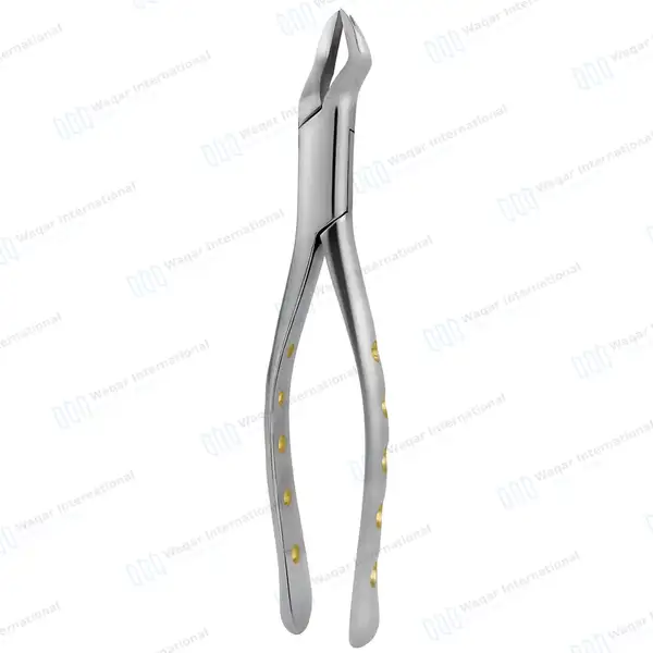Extracting Forceps #88R 1st & 2nd Upper Molar with Gold Python Grip - dental instruments manufactured by Waqar International, Sialkot - view 7