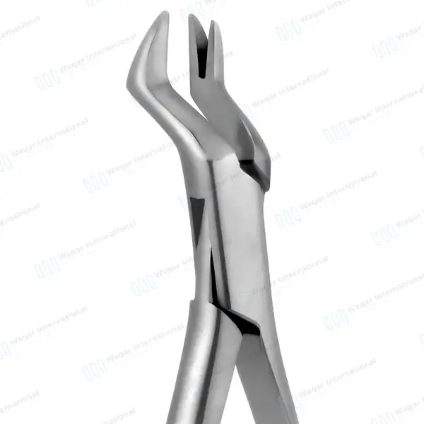 2 Extracting Forceps #88R & #88L with Gold Hollow Python Grip Handle - dental instruments manufactured by Waqar International, Sialkot - view 2