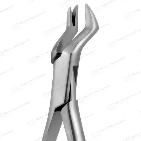 2 Extracting Forceps #88R & #88L with Gold Hollow Python Grip Handle - dental instruments manufactured by Waqar International, Sialkot - view 3