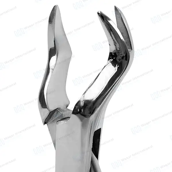 2 Extracting Forceps Set #88R & #88L for Upper 1st & 2nd Molars - dental instruments manufactured by Waqar International, Sialkot - view 2