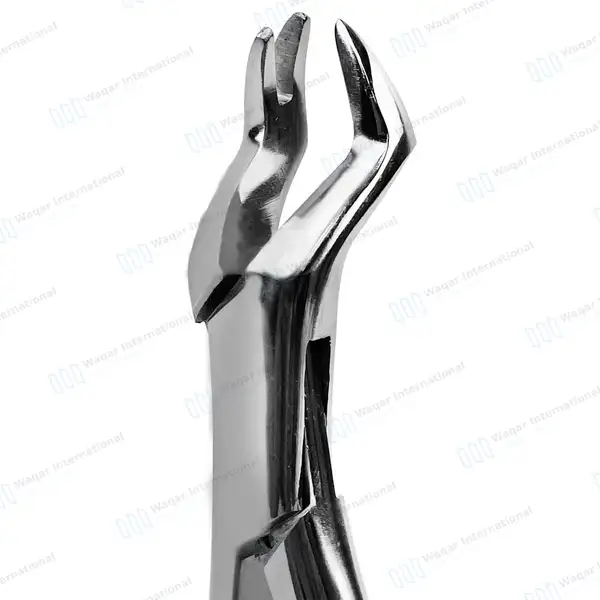 2 Extracting Forceps Set #88R & #88L for Upper 1st & 2nd Molars - dental instruments manufactured by Waqar International, Sialkot - view 3