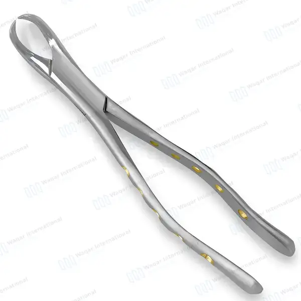 American Extracting Forceps #23 with Gold Hollow Python Grip Handle - dental instruments manufactured by Waqar International, Sialkot - view 2