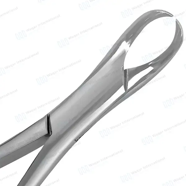 American Extracting Forceps #23 with Gold Hollow Python Grip Handle - dental instruments manufactured by Waqar International, Sialkot - view 3