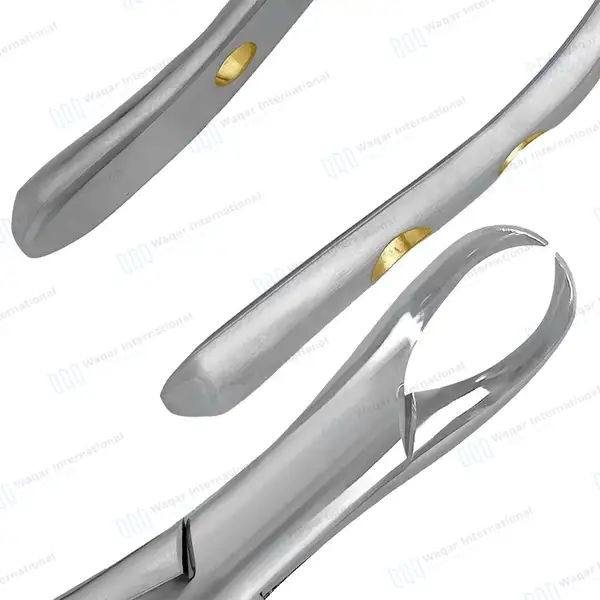 American Extracting Forceps #23 with Gold Hollow Python Grip Handle - dental instruments manufactured by Waqar International, Sialkot - view 6