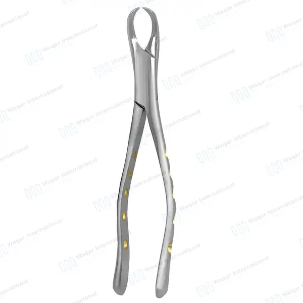 American Extracting Forceps #23 with Gold Hollow Python Grip Handle - dental instruments manufactured by Waqar International, Sialkot - view 7