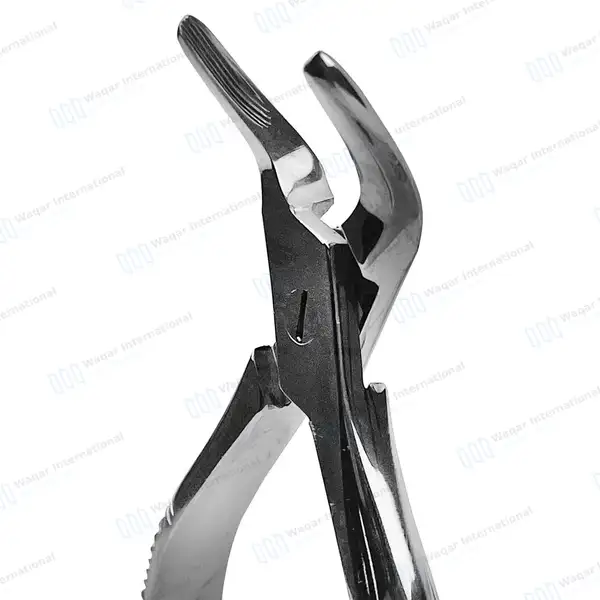 Dental Extracting Forceps #120 Witzel Upper Roots, Universal - surgical instruments manufactured by Waqar International, Sialkot - view 3
