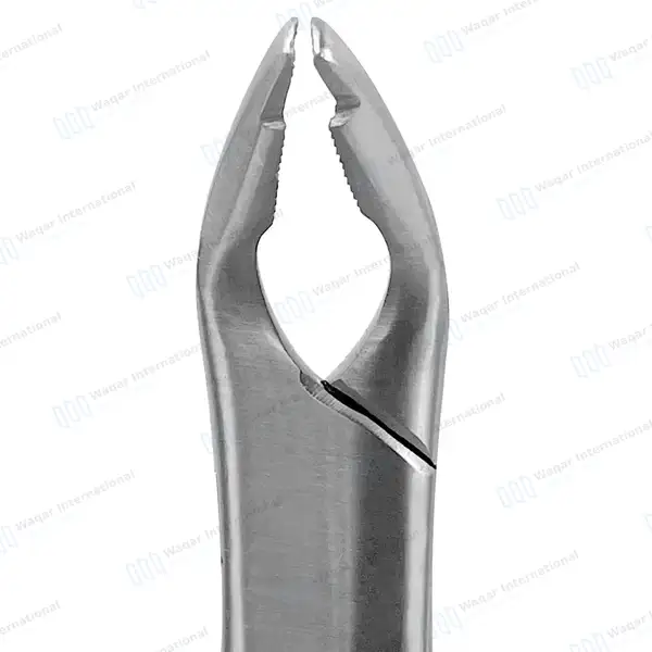 Dental Extracting Forceps #349 for Upper Incisors & Root - dental instruments manufactured by Waqar International, Sialkot - view 3