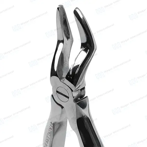 Pedo Extracting Forceps #H Upper & Lower Universal Mini - surgical instruments manufactured by Waqar International, Sialkot - view 2