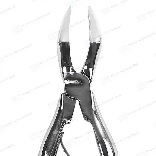 Pedo Extracting Forceps #H Upper & Lower Universal Mini - surgical instruments manufactured by Waqar International, Sialkot - view 3