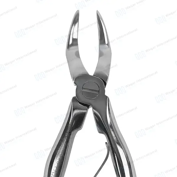 Pedo Extracting Forceps #H Upper & Lower Universal Mini - surgical instruments manufactured by Waqar International, Sialkot - view 4