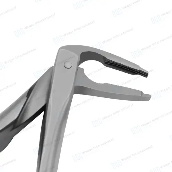 Dental Extracting Forceps #F4 Diamond Dusted Tip Gold Handle - surgical instruments manufactured by Waqar International, Sialkot - view 5